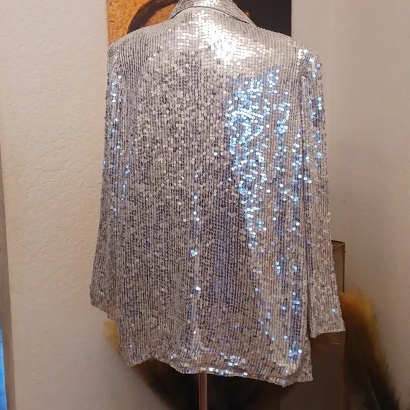 Silver Sequin Jacket - Picture 6 of 6